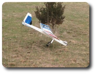  On my first day of flying the Budsani, I clipped the little tree in the background while landing.